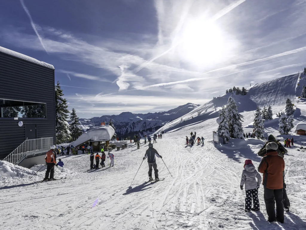 Chalet Edelweiß
