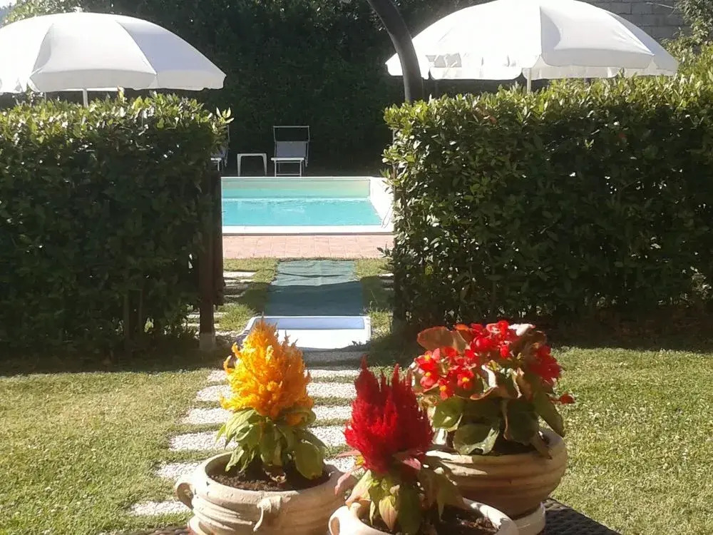 LOlmo di Casigliano