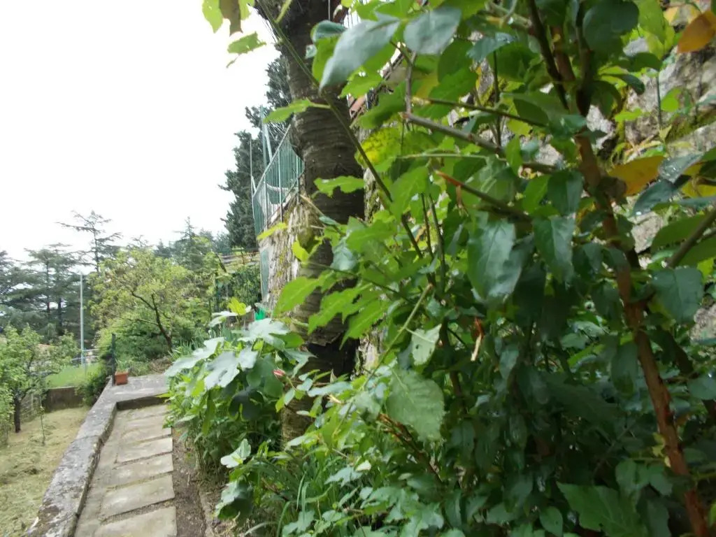 La Vecchia Locanda