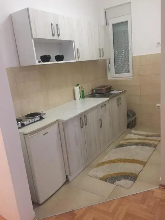 Apartman PEŠAČKA ZONA