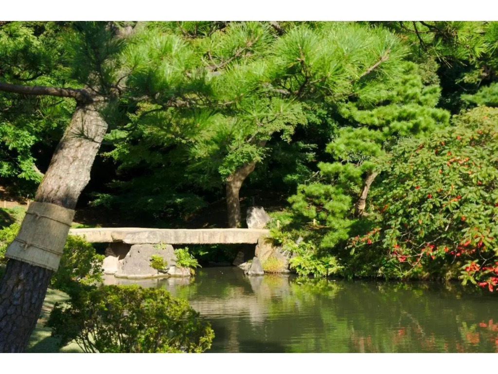 Tora Hotel Rikugien - Vacation STAY 52744v