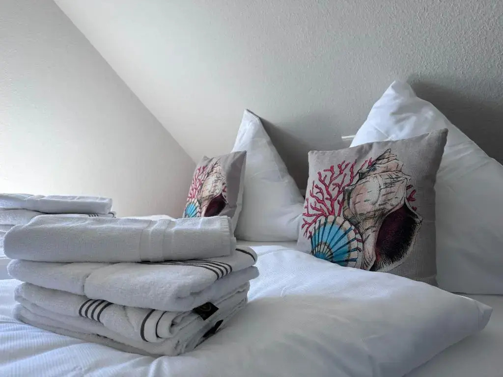 Schmucke-Huus-Appartement-3