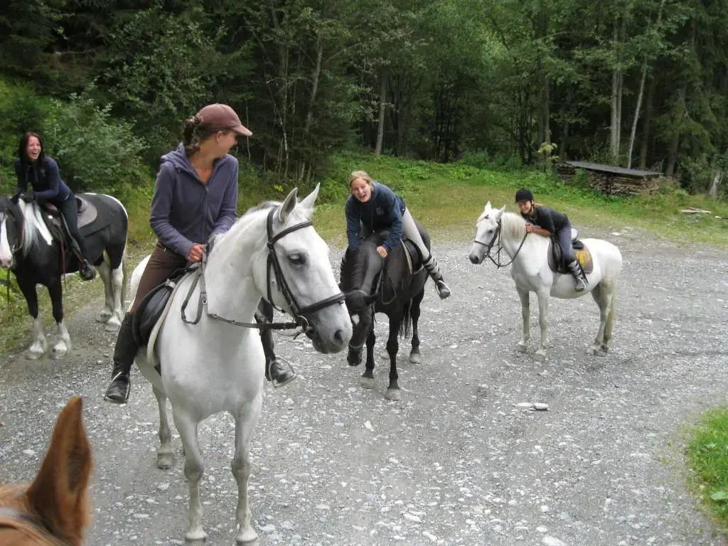 Altachhof Hotel und Ferienanlage - Jokercard im Sommer inklusive