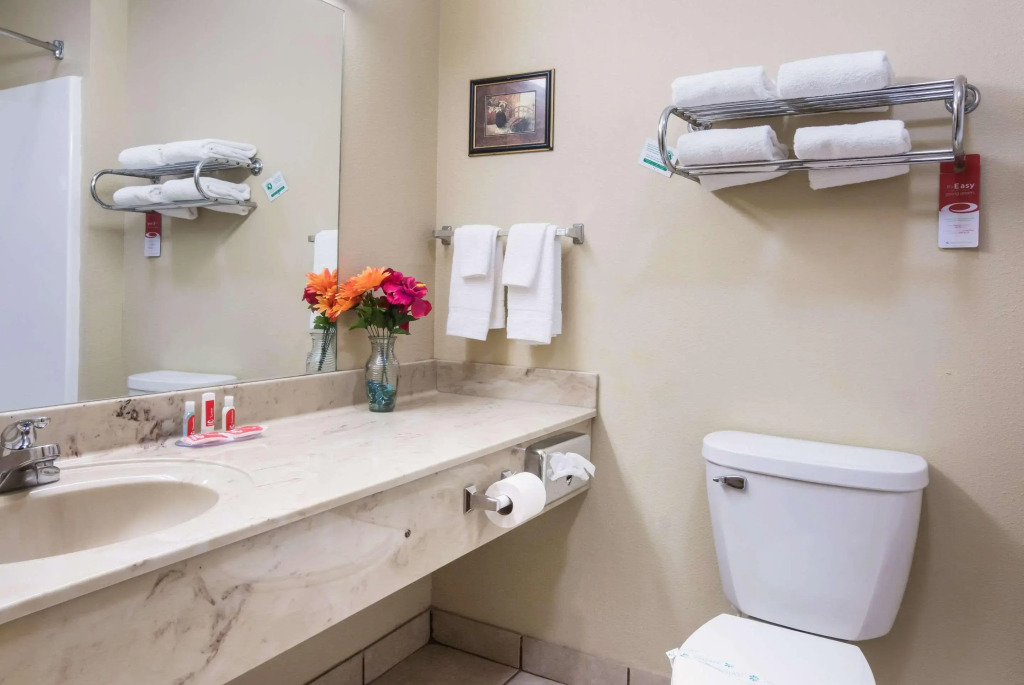 Econo Lodge Inn & Suites Rockmart