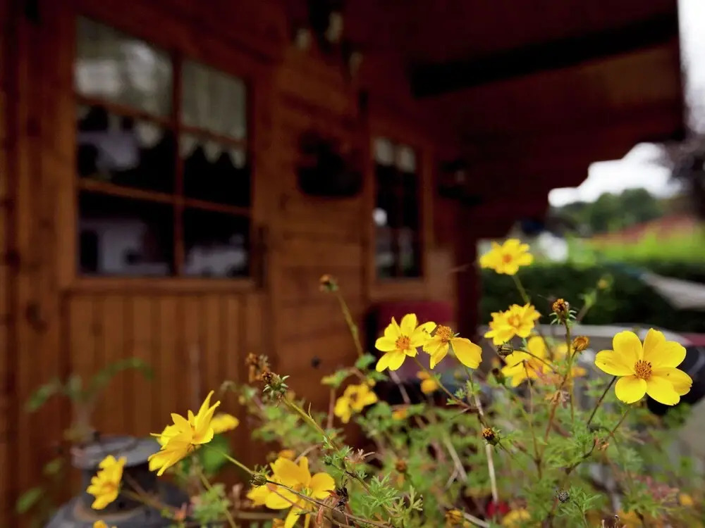 Serene Apartment in Fieberbrunn Tyrol near Ski Area