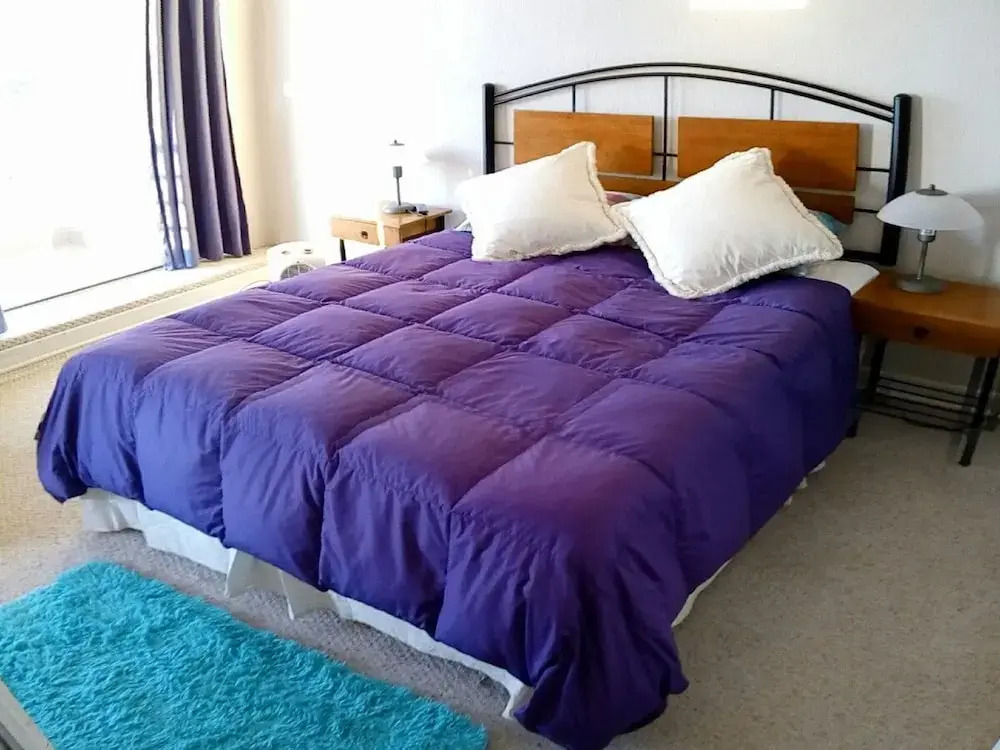 Departamento Goleta