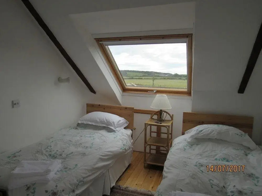 The Birds Nest B&B