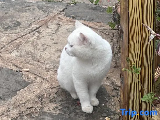 Tingyun Shanju Inn