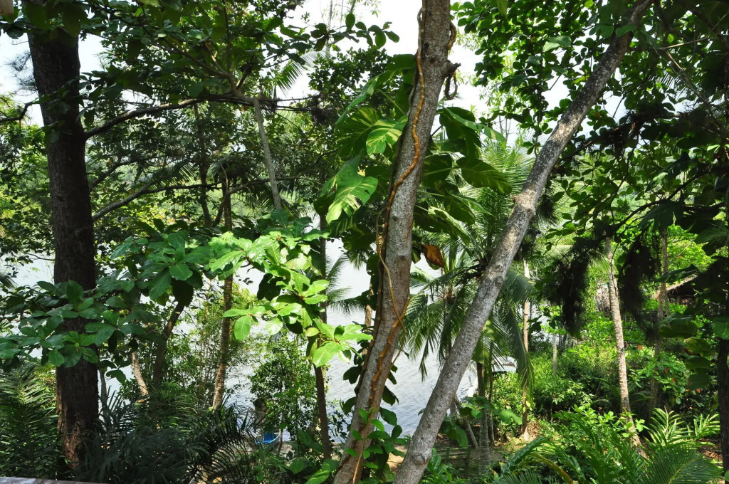 Villa Birdlake