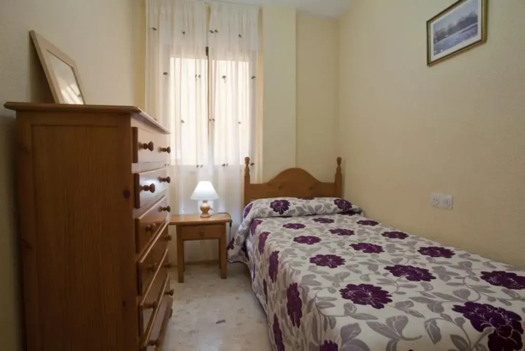 Apartment in Malaga 101679