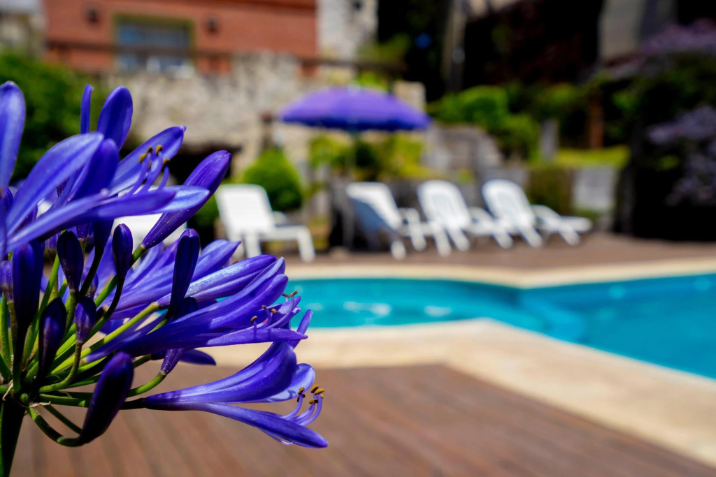 Valeria House Rental Suites
