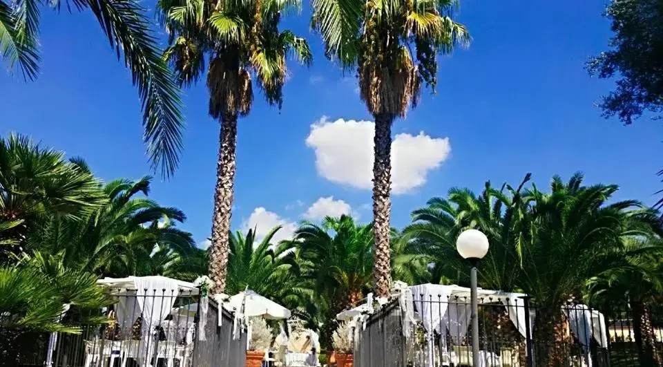 Tenuta Santa Lucia