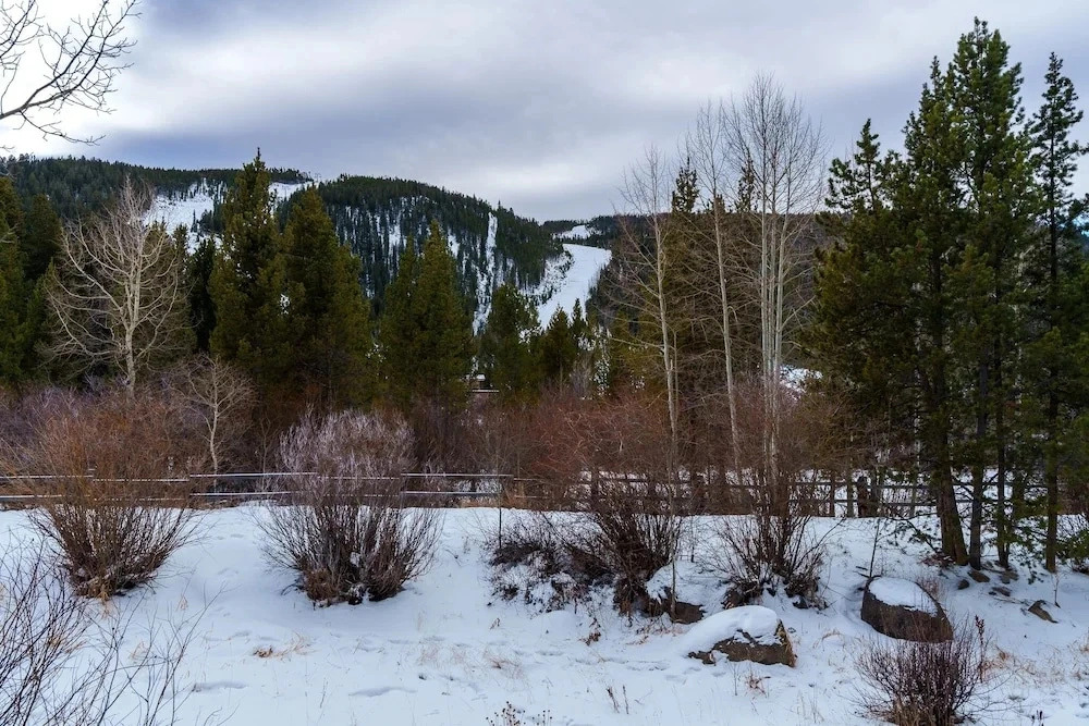 503 Ski Run 1 Bedroom Condo