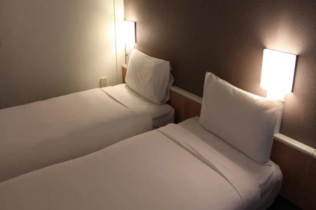 ibis Newcastle