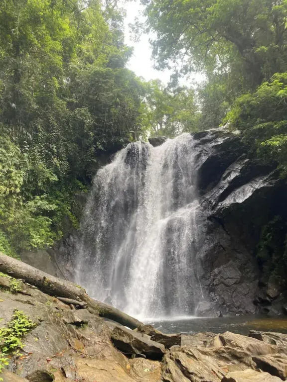 Sinharaja Serenity Retreat