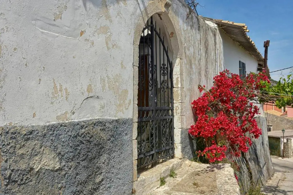 Golden fox Villa