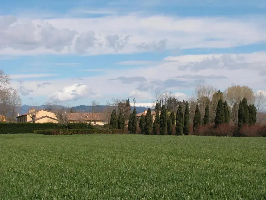 Fattoria di Migliarino