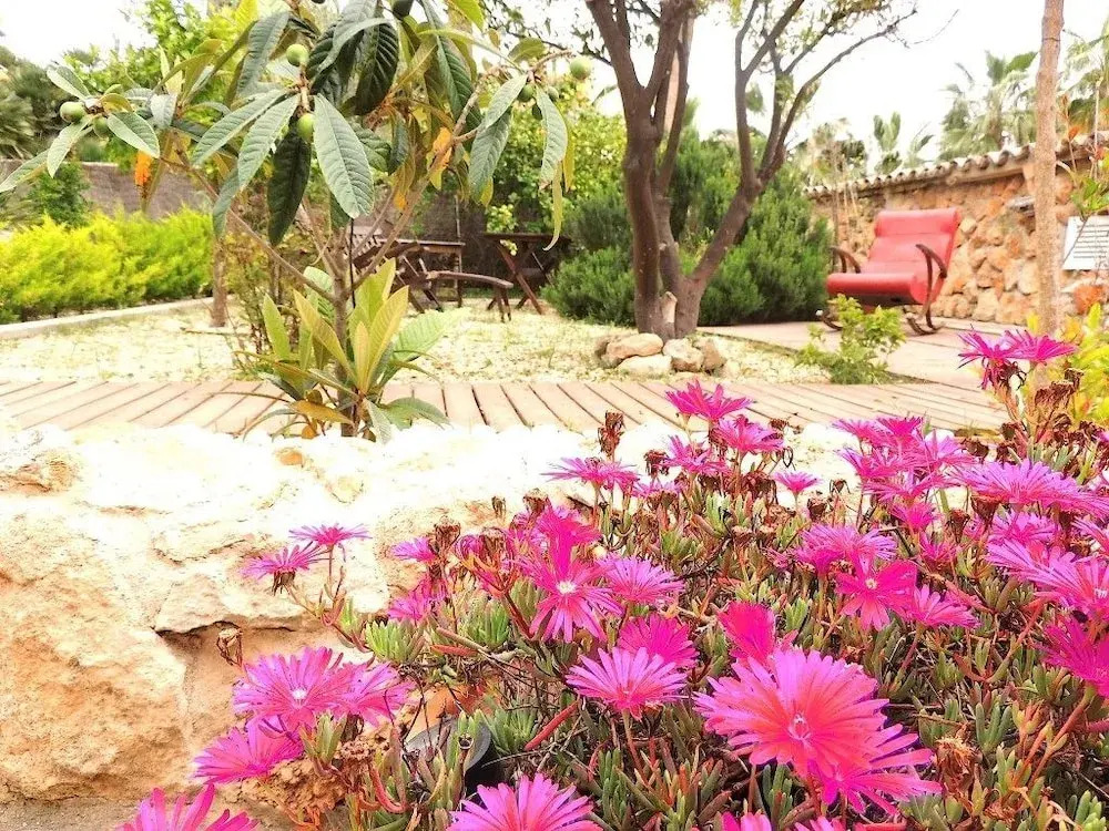 Villa Palmer I Beachhouse