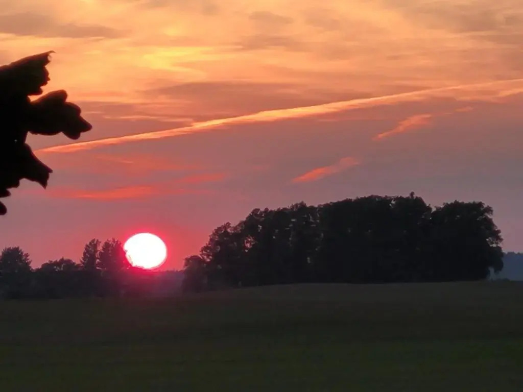 Panterej Pokoje Gościnne