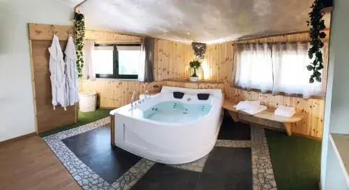 REnt room Japaroom