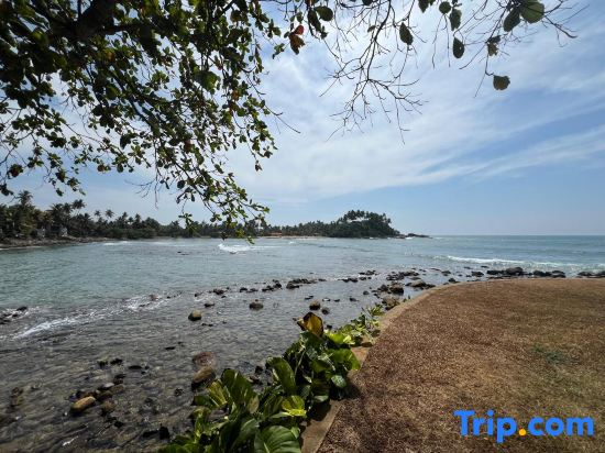 Kottan On Sea, Hiriketiya by The Serendipity collection