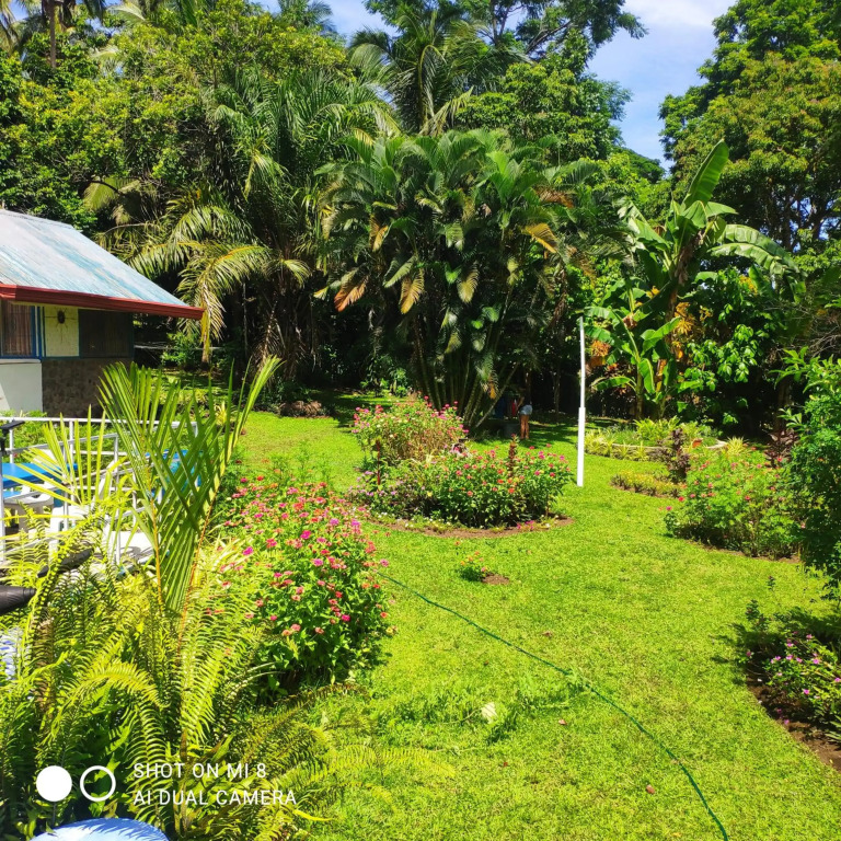 Sun House Rental