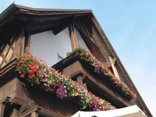 Gasthaus zur Traube