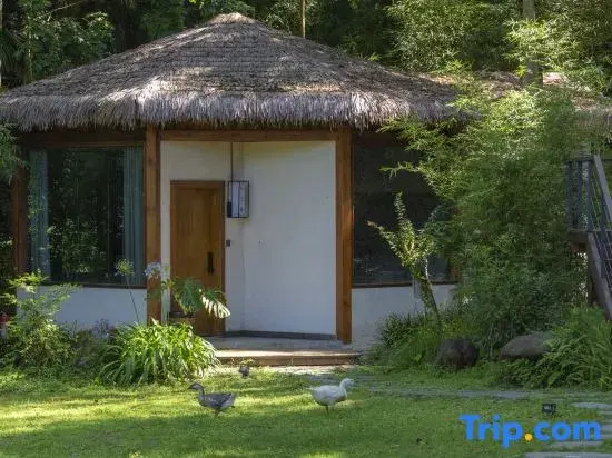 Qingcheng Mountain Just on the Stream · Mountain Stream Bamboo Forest Private Soup B&B