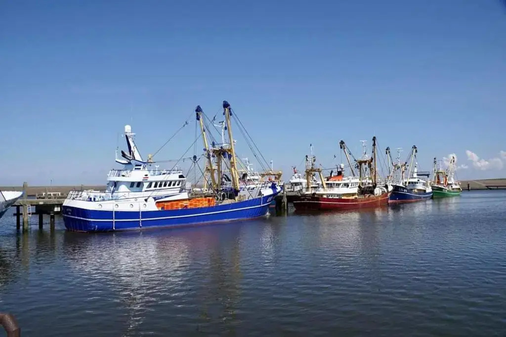 Cosy Harlingen I