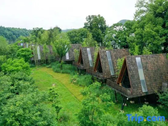 Tree Frog Resort Hotel