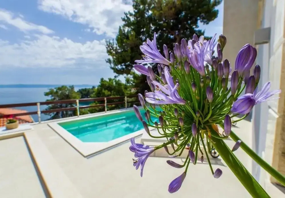 Fran - Pool View - A2 - I kat