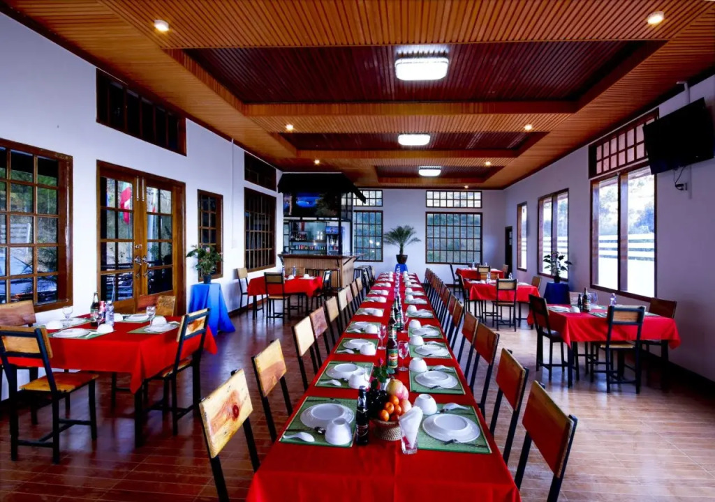Pine Land Oasis Hotel