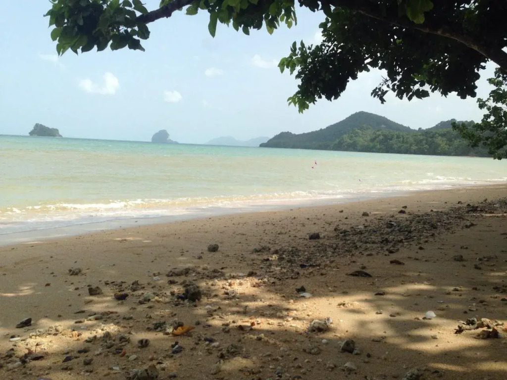 Pasai Beach Lodge