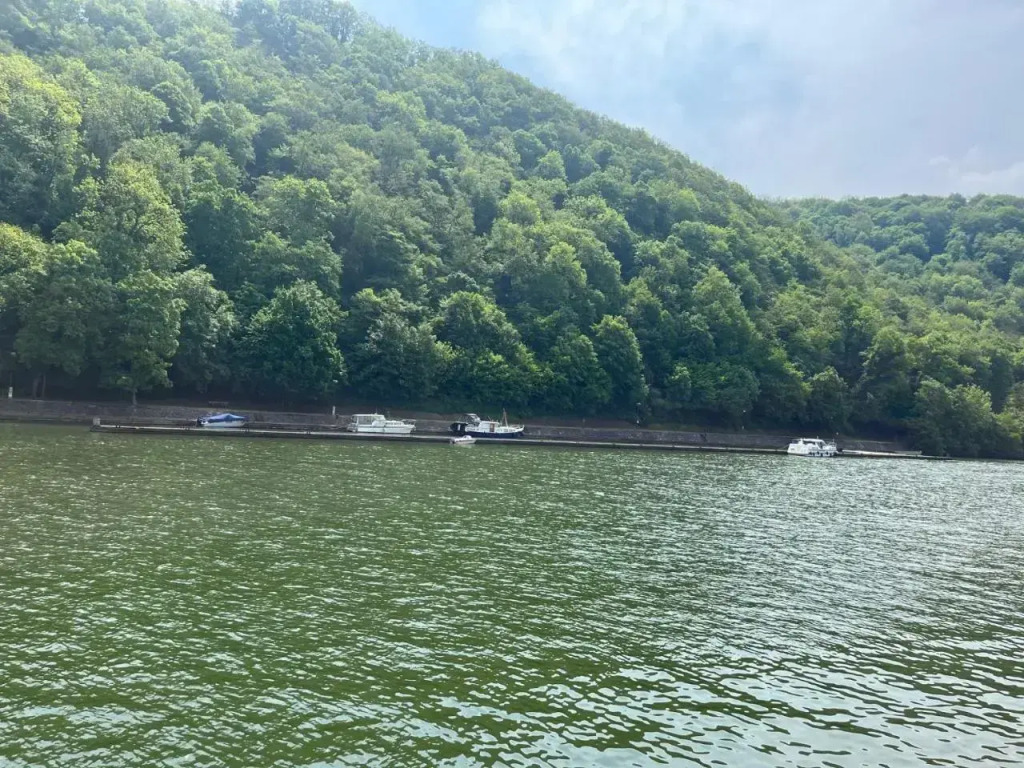 Entre Roche & Meuse