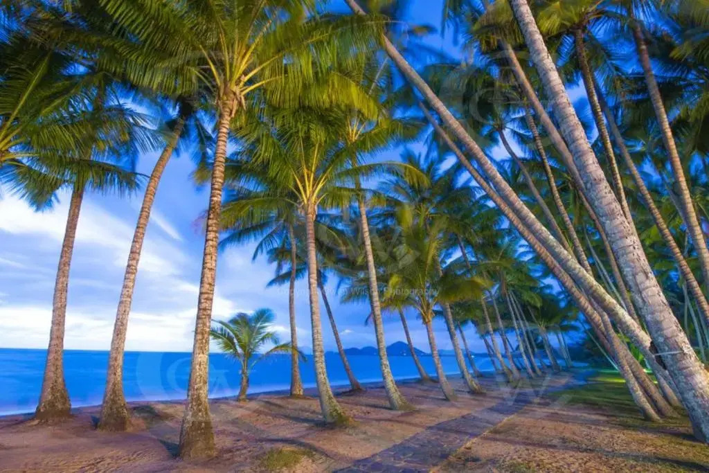 Tranquility Chill at Palm Cove