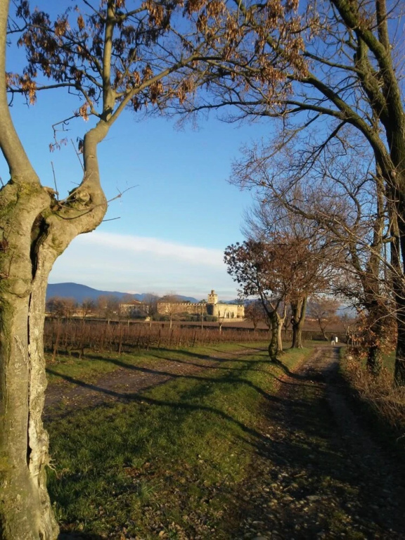 Cascina San Martino