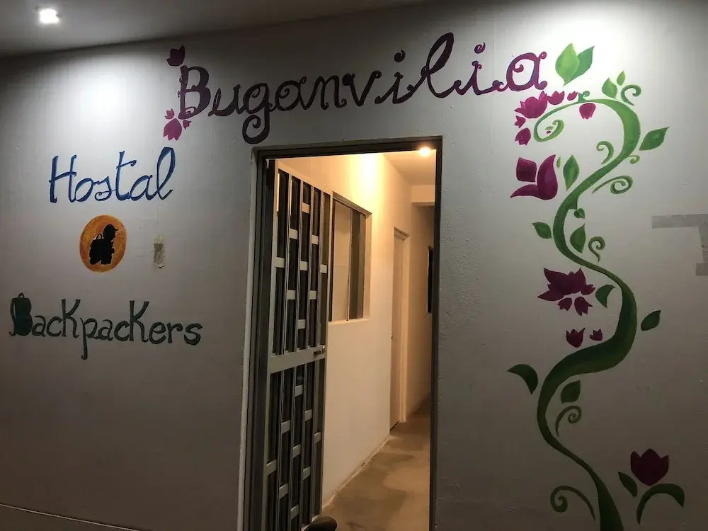 Buganvilia