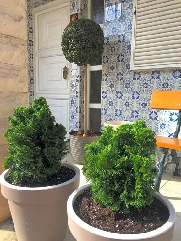 Residencial Celeste