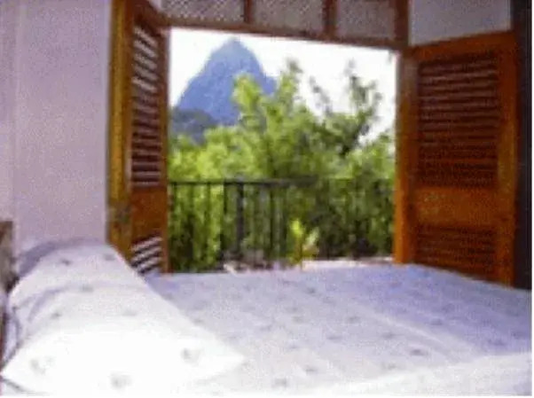 Uptown Guesthouse