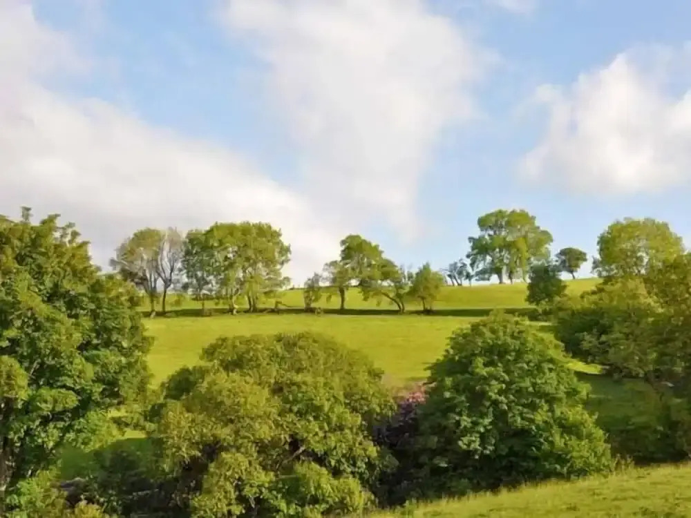 Hendre Aled Cottage 1