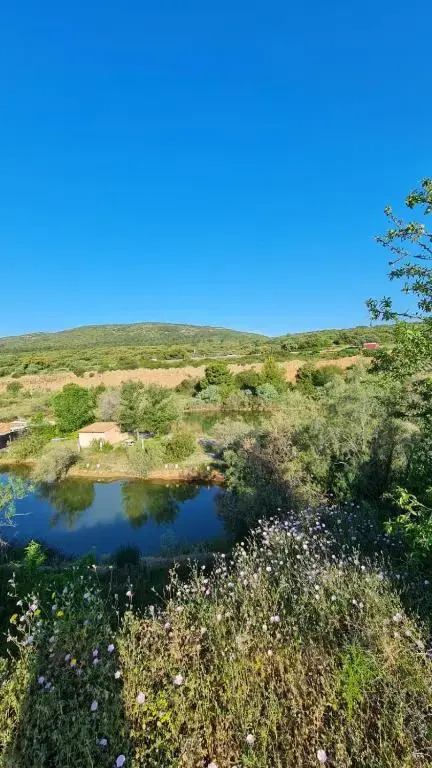 Mobilhome au camping de l'Europe 4*