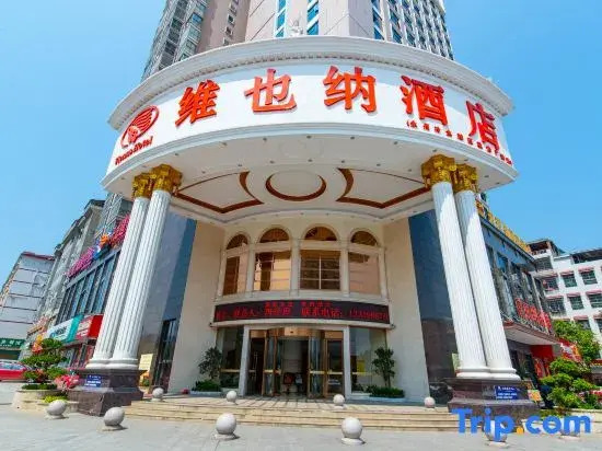 Vienna Hotel (Yongzhou District Government Square)