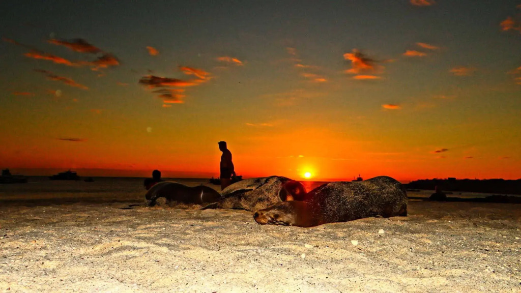Galápagos Casa Playa Mann