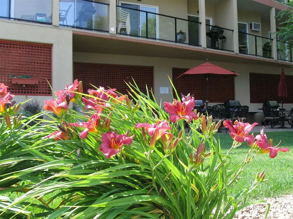 Desert Surfside Waterfront Accommodations