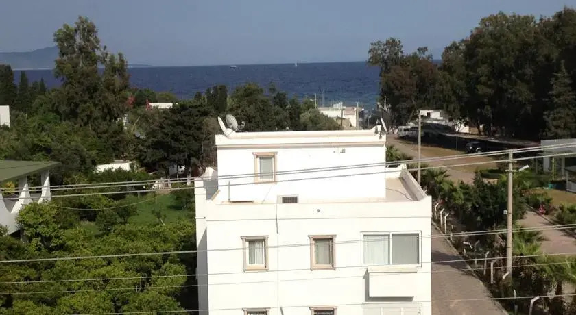 Citi Piti Pension