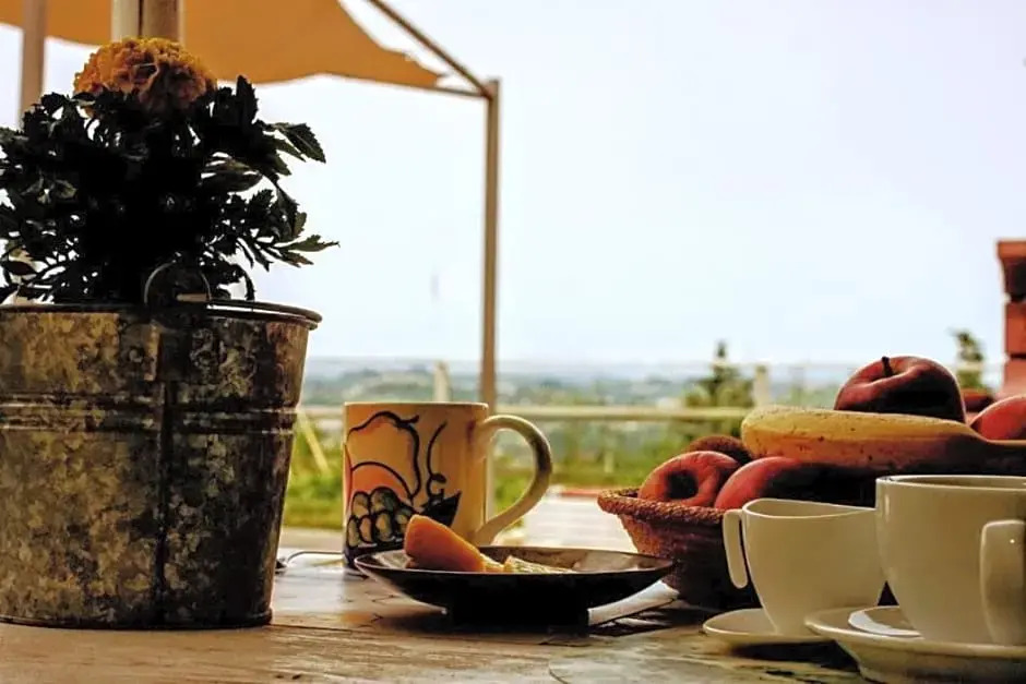 La Casa Nel Bosco
