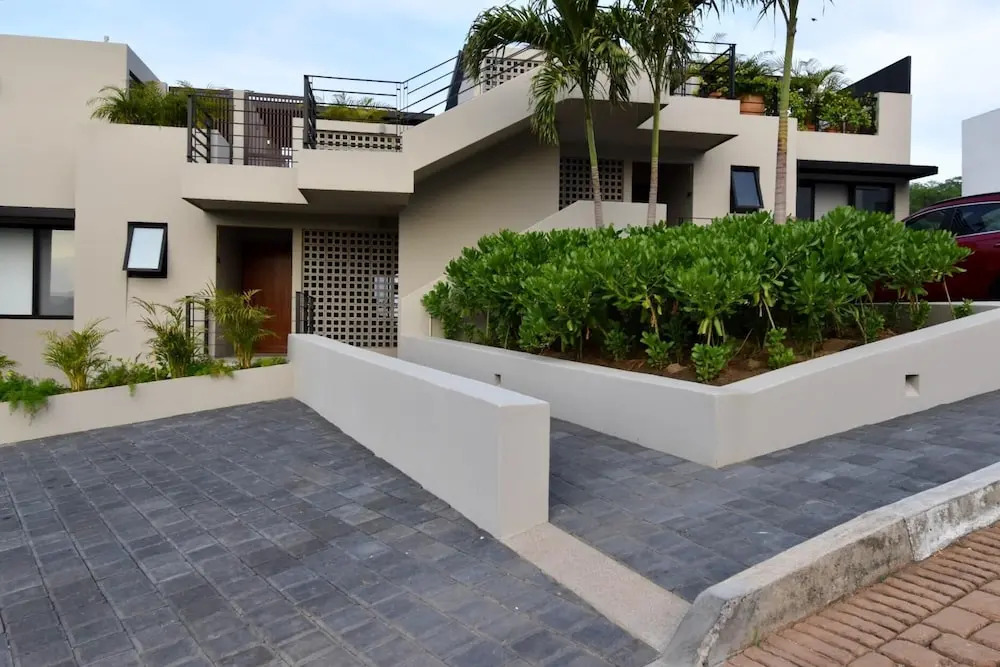 Agaves 204