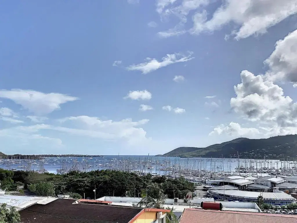 Appartement Le Marin, 3 pièces, 4 personnes - FR-1-668-1