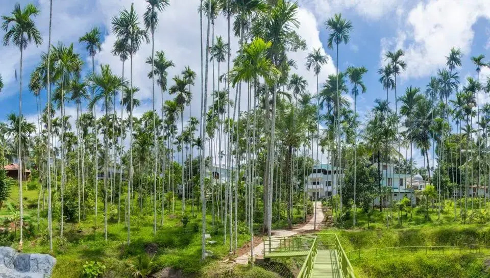 Wayanad Fort Resort