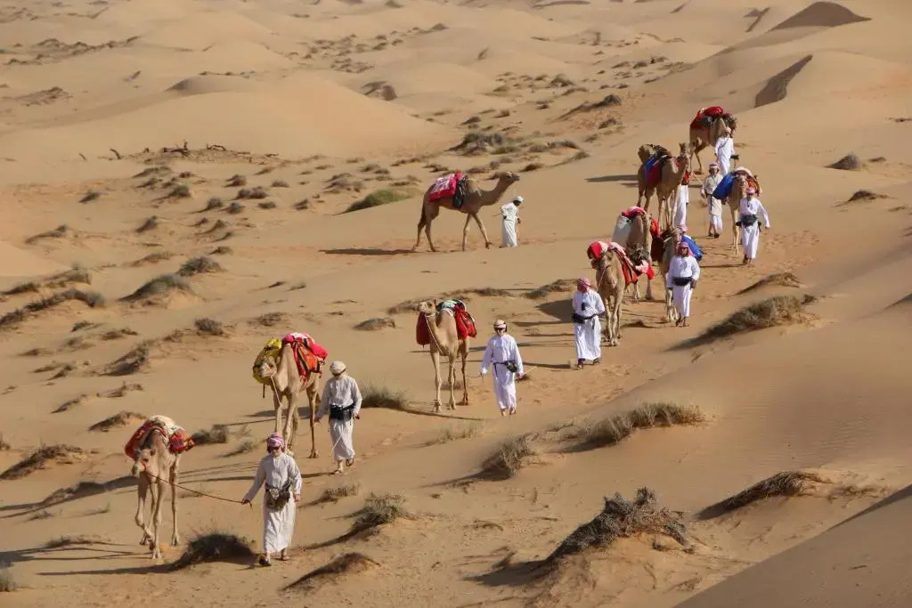 Safari Desert Camp